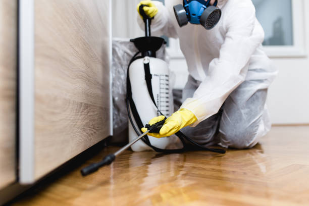 Best Pest Control Treatment  in Sidney, OH