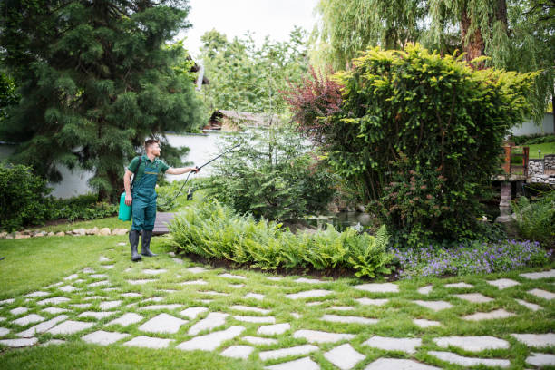 Best Affordable Pest Control Services  in Sidney, OH