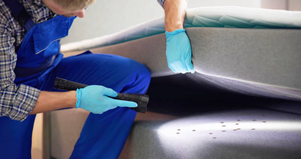 Best Mosquito Control Services  in Sidney, OH