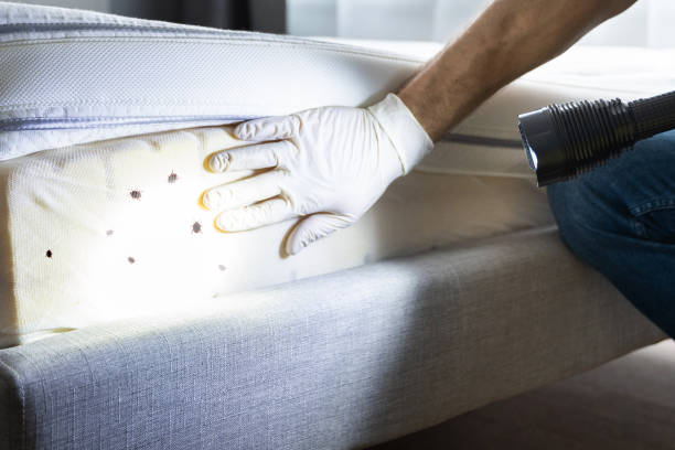Best Insect Control  in Sidney, OH