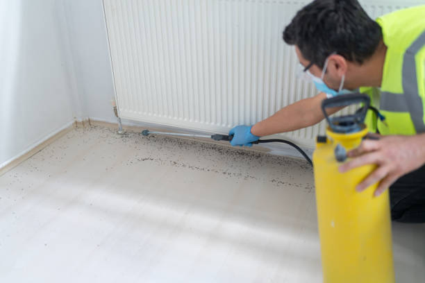 Best Local Pest Control Services  in Sidney, OH