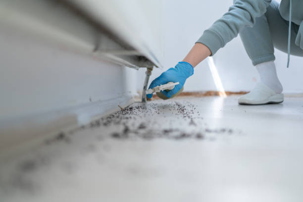 Best Pest Inspection Near Me  in Sidney, OH